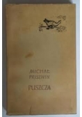 Puszcza