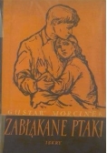 Zabłąkane ptaki