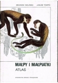 Małpy i małpiatki