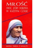 Miłość owoc który dojrzewa w każdym czasie