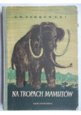 Na tropach mamutów