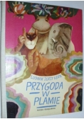 Przygoda w plamie