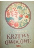 Krzewy  owocowe