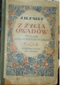 Z życia owadów