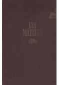 Jan Matejko