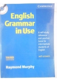 English Grammar in Use