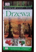 Drzewa. Rozpoznawanie, ciekawostki, występowanie na świecie