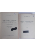 Żywot Pana Naszego Jezusa Chrystusa Tom I-II,1913 r.