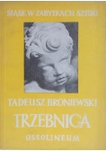 Śląsk w zabytkach sztuki- Trzebnica