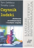 Czynnik ludzki Skuteczne przedsięwzięcie i wydajne zespoły