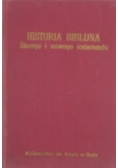 Historia biblijna