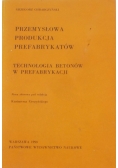 Przemysłowa produkcja prefabrykantów