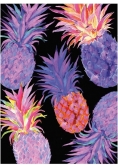 Karnet B6 z kopertą Tropicana