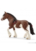 Klacz rasy Clydesdale