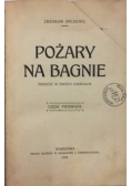 Pożary na bagnie - Powieść w dwóch częściach,1924 r.