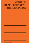 Bezpieczeństwo i Higiena Pracy Meritum