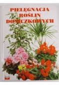 Pielęgnacja roślin doniczkowych