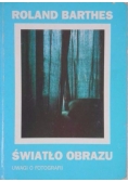 Światło obrazu. Uwagi o fotografii