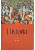 Historia Polski: Polska do 1586, t. I