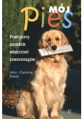 Mój pies