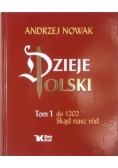 Dzieje Polski, Tom I