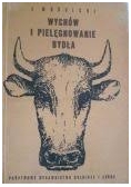 Wychów i pielęgnowanie bydła