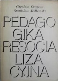 Pedagogika resocjalizacyjna
