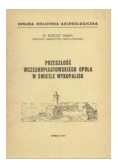 Przeszłość wczesnopiastowskiego opola w świetle wykopalisk,1949r.
