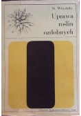 Uprawa roślin ozdobnych