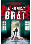 Tajemniczy brat, Nowa
