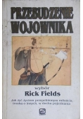 Przebudzenie wojownika.