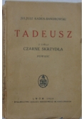 Tadeusz z cyklu czarne skrzydła, 1929 r.