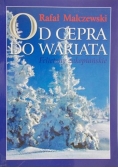Malczewski Rafał - Od cepra do wariata