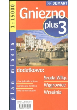 Gniezno plus 3 1:20 000  plan miasta