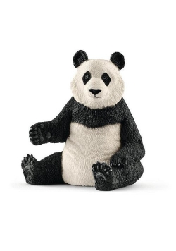 Panda wielka samica