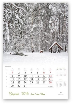Kalendarz 2018 RW 4 Lasy polskie