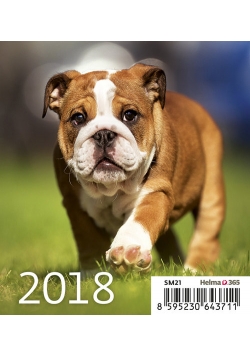 Kalendarz 2018 Biurkowy Mini Pieski