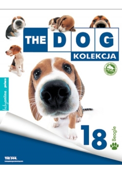 The dog Beagle
