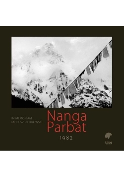 Nanga Parbat 1982