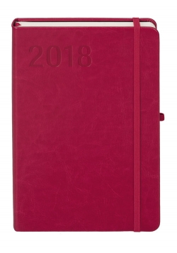 Kalendarz 2018 Formalizm A5 malinowy