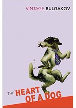 The heart of a dog