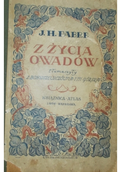 Z życia owadów, 1925r.