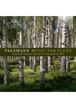 Teleman Flute Concertos