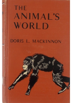 The Animal's world