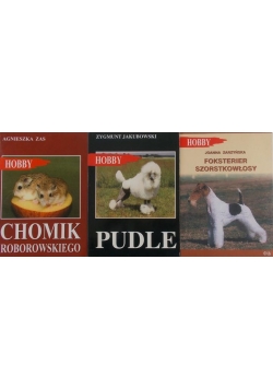 Hobby, Foksterier szorstkowłosy/ Comik Roborowskiego/ Pudle