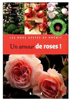 Un amour de roses!