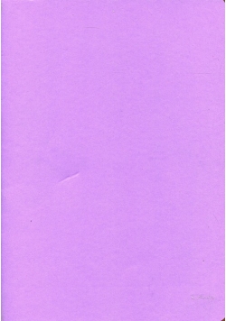 Zeszyt A4 Rainbow w kratkę 96 kartek fioletowy