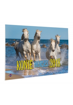 Kalendarz 2018 KA-10 Konie