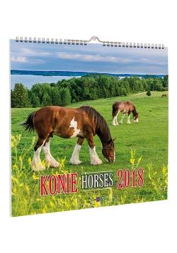 Kalendarz 2018 KD-22 Konie