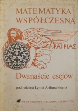 Matematyka współczesna - 12 esejów